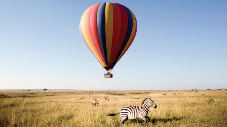 Hot air balloon passing low over a zebra on the open plains
