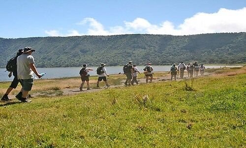 Walking group crossing the Ngorongoro Crater floor beside the soda lake