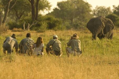 Guided walking safari in Arusha National Park