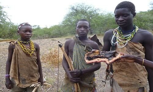 Hadzabe men with bows returning from a morning hunt