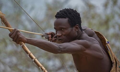 Hadzabe hunter drawing his bow
