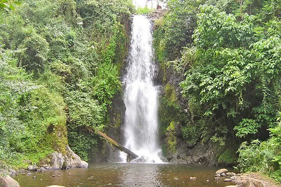 Waterfall tumbling through dense green forest at Marangu
