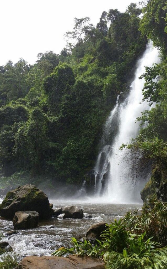 Tall waterfall falling through dense green forest near Marangu