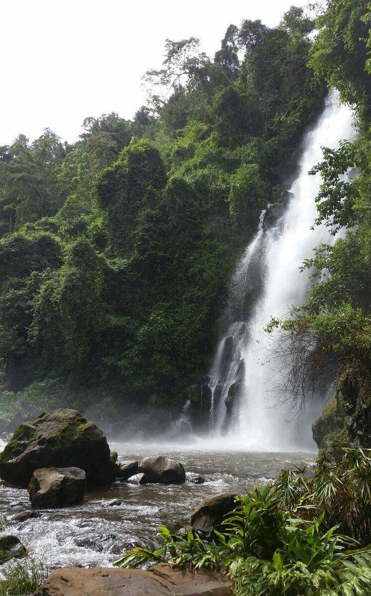 Tall waterfall falling through dense green forest near Marangu